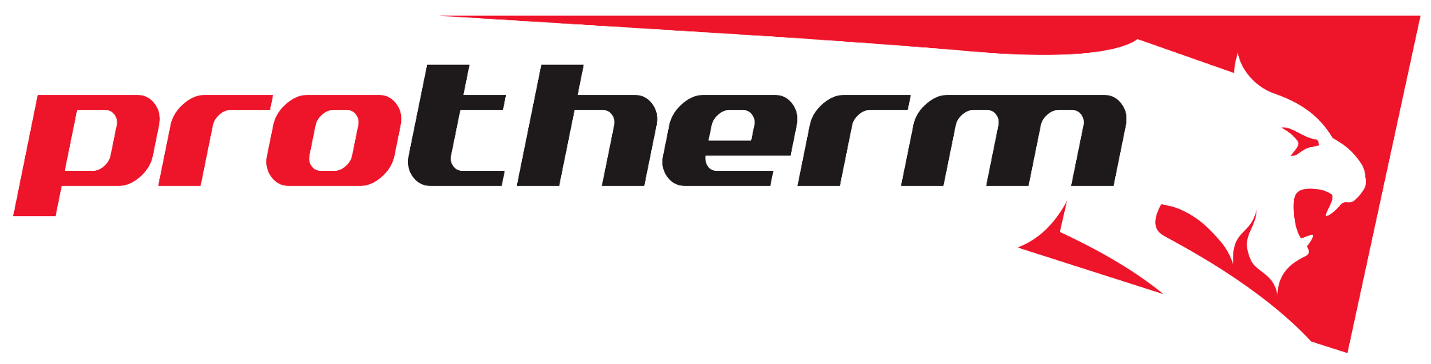 Protherm logosu